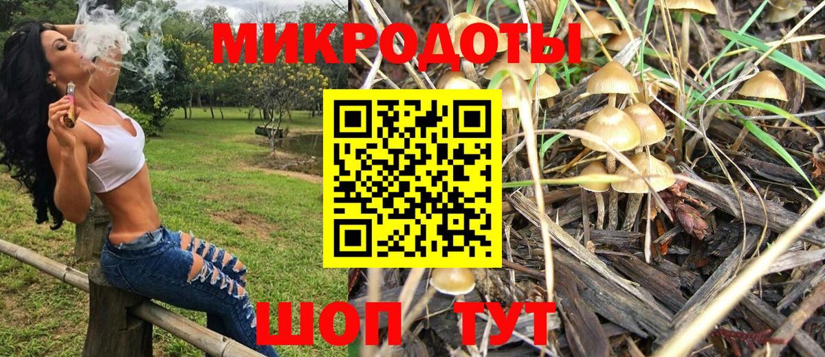 Унеча  Галлюциногенные грибы Magic Shrooms  Вход с VPN 