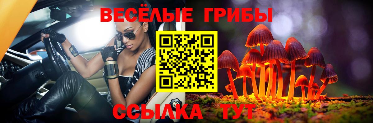 Псилоцибиновые грибы Magic Shrooms Унеча